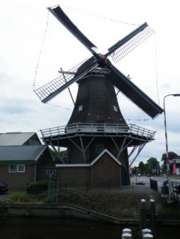 This is picture 1